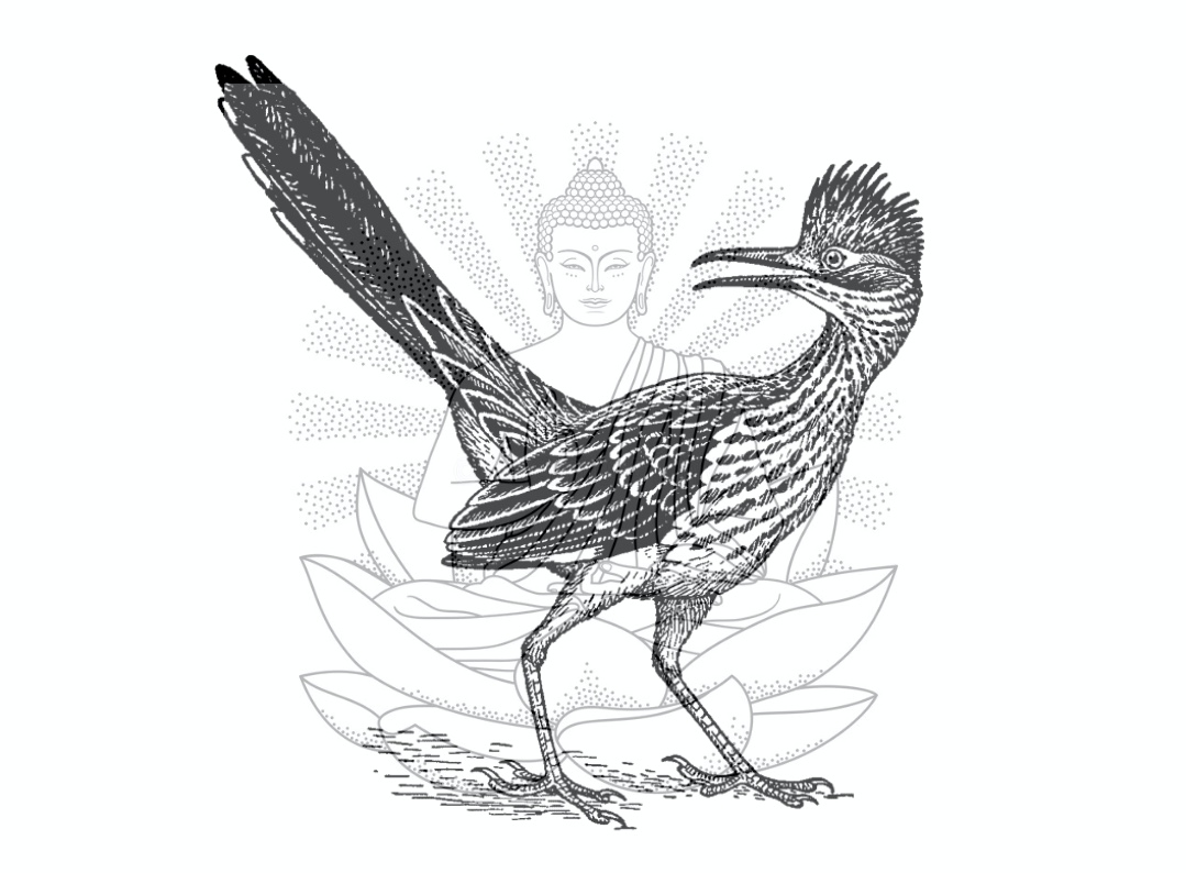 The Buddhist and the Road Runner